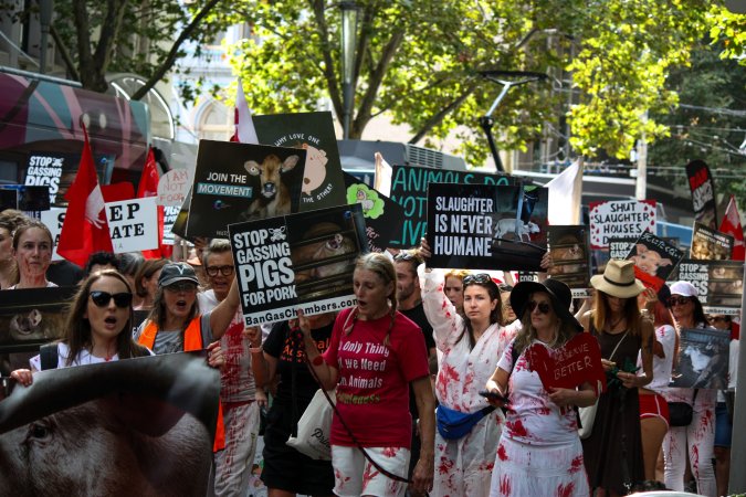 Dominion Animal Rights March 2025