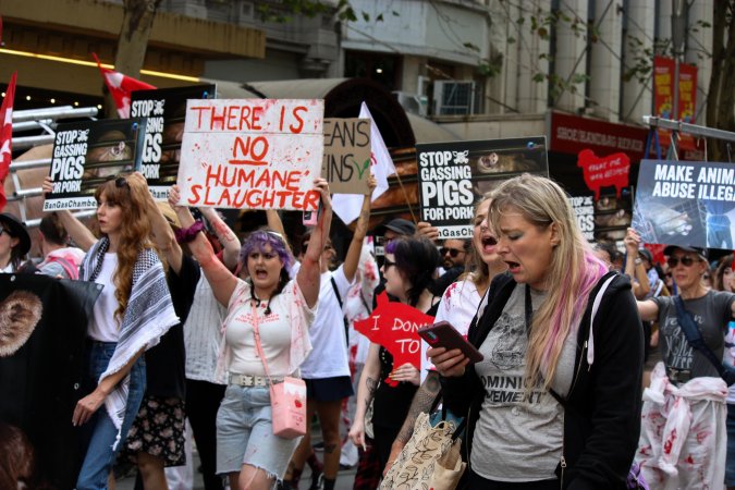 Dominion Animal Rights March 2025