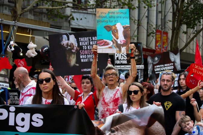 Dominion Animal Rights March 2025