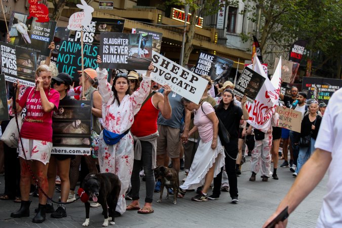 Dominion Animal Rights March 2025