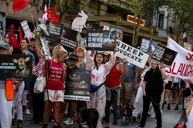 Dominion Animal Rights March 2025