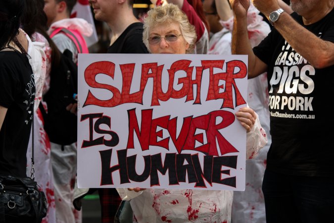 Dominion Animal Rights March 2025