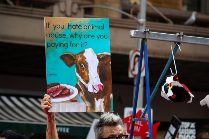 Dominion Animal Rights March 2025