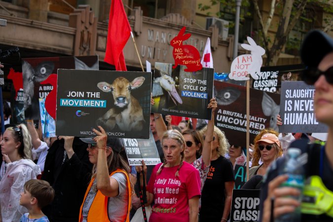 Dominion Animal Rights March 2025