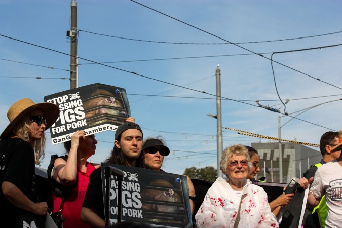 Dominion Animal Rights March 2025