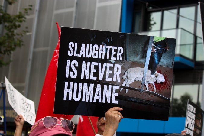 Dominion Animal Rights March 2025