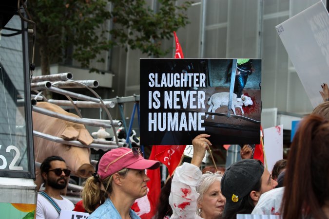Dominion Animal Rights March 2025