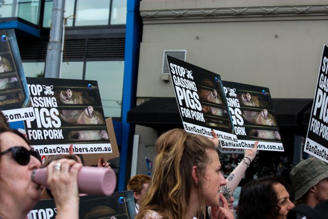 Dominion Animal Rights March 2025