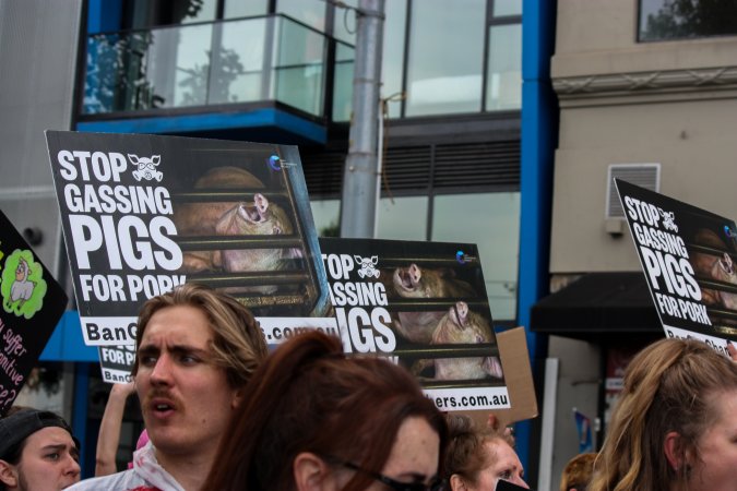 Dominion Animal Rights March 2025