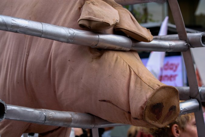 Dominion Animal Rights March 2025