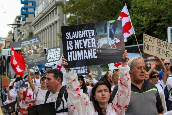 Dominion Animal Rights March 2025