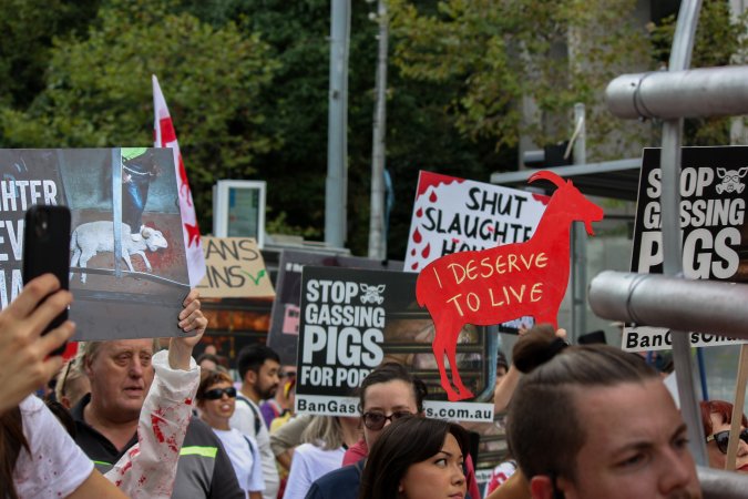 Dominion Animal Rights March 2025