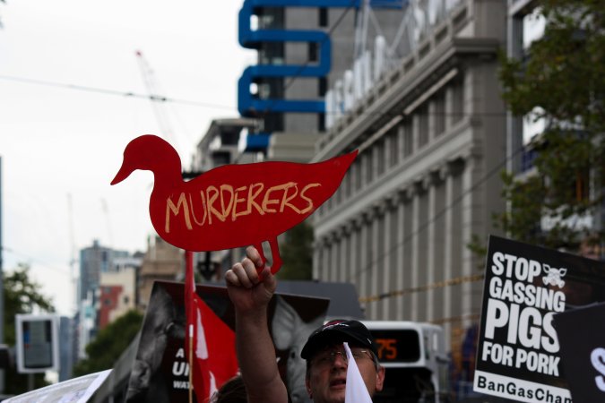Dominion Animal Rights March 2025