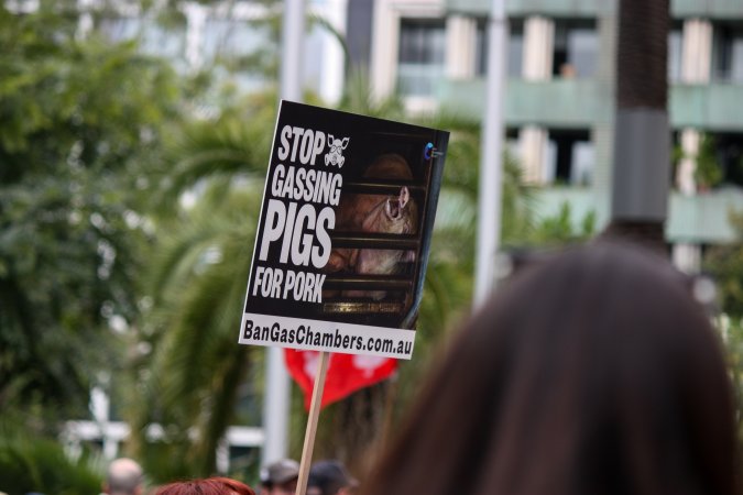 Dominion Animal Rights March 2025
