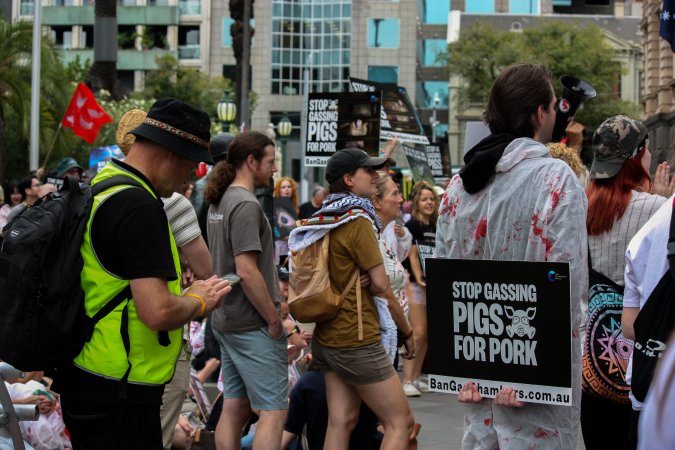 Dominion Animal Rights March 2025