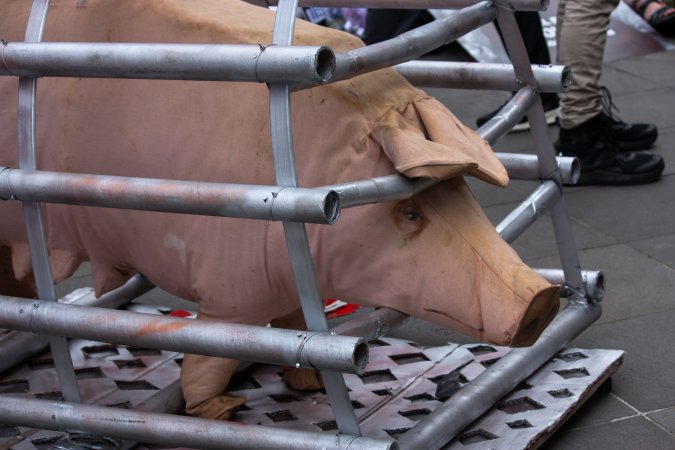 Dominion Animal Rights March 2025