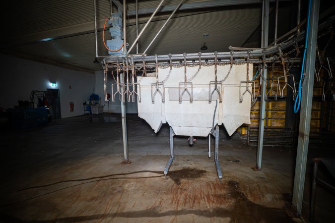 Stun bath and shackle line