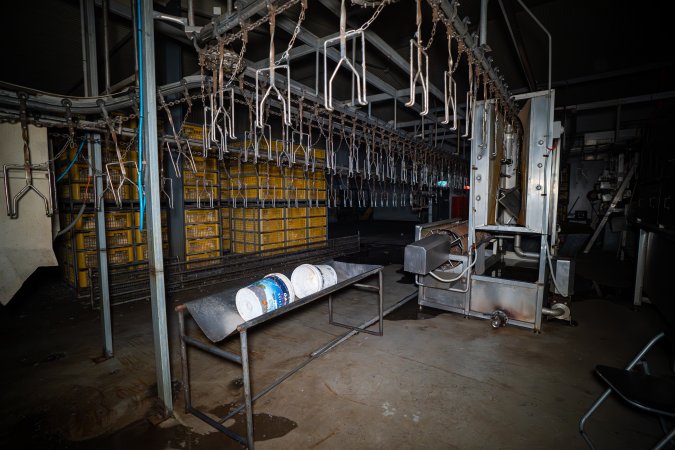Shackle line