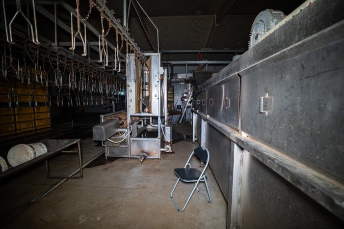 Shackle line and stun bath