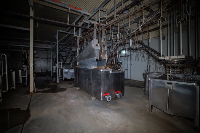 Shackle line and stun bath