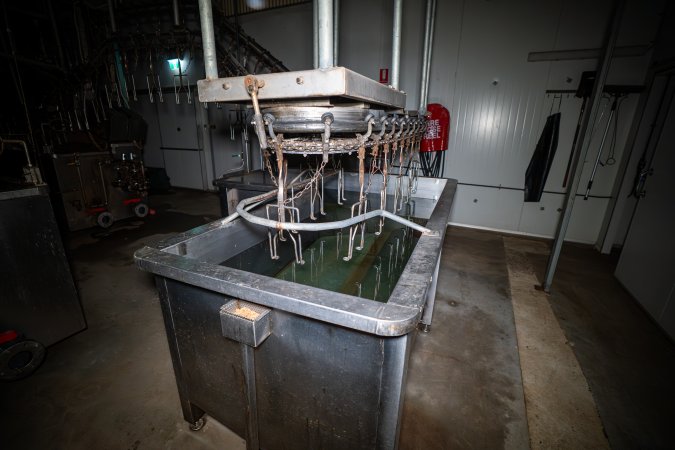 Shackle line and scalding tank