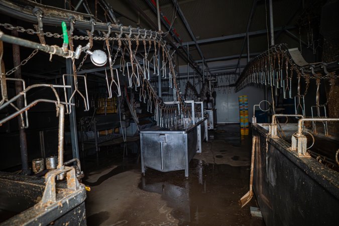 Shackle line and scalding tank