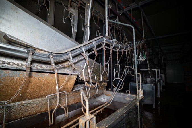 Shackle line and scalding tank
