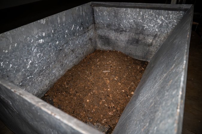 Bin with dirt and bones