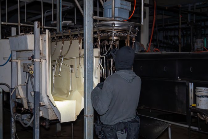 Investigator looks around kill room