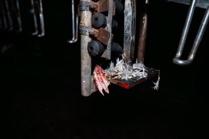Foot on machinery