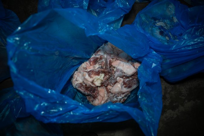 Butchered birds on kill floor