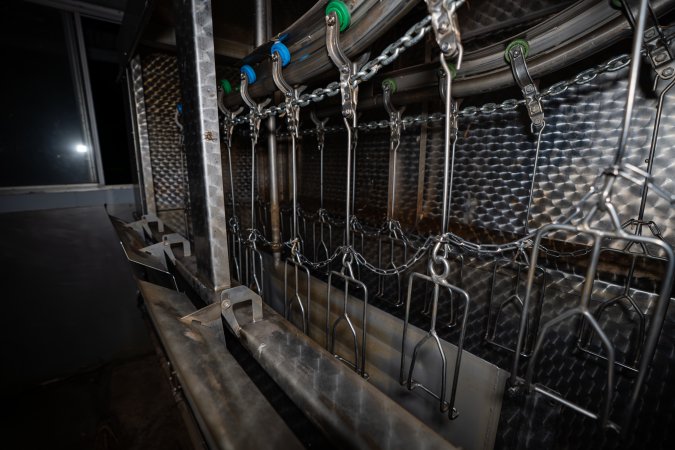 Shackle line and stun bath