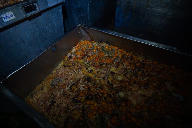 Organs and egg yolks in bin outside slaughterhouse