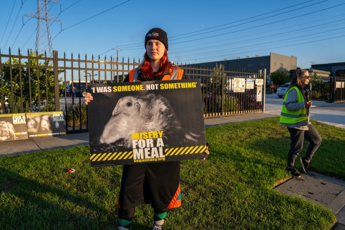 Melbourne Chicken Save Vigil - April 2025