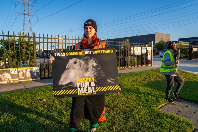 Melbourne Chicken Save Vigil - April 2025