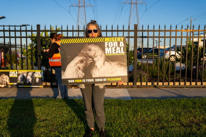 Melbourne Chicken Save Vigil - April 2025