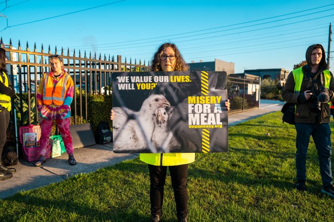 Melbourne Chicken Save Vigil - April 2025