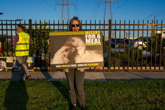 Melbourne Chicken Save Vigil - April 2025