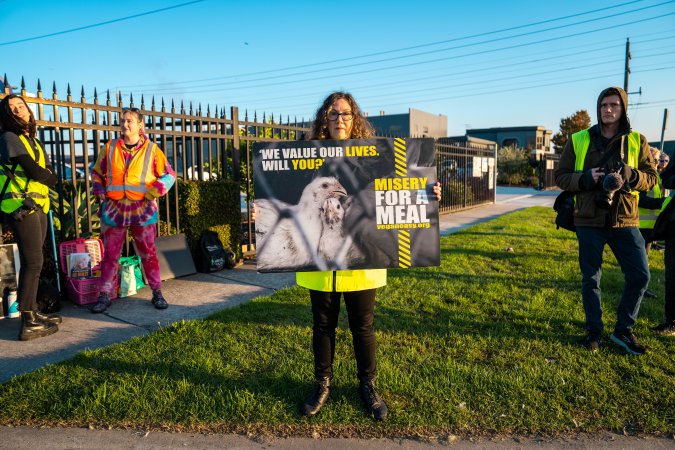 Melbourne Chicken Save Vigil - April 2025