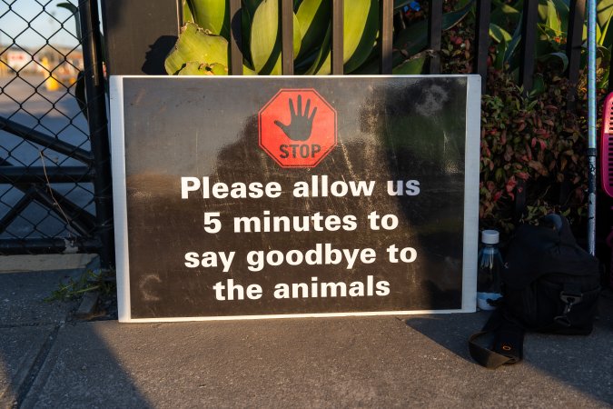 Melbourne Chicken Save Vigil - April 2025
