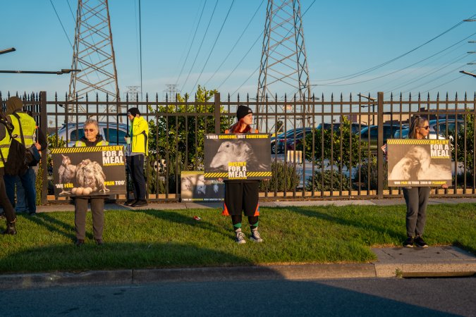 Melbourne Chicken Save Vigil - April 2025