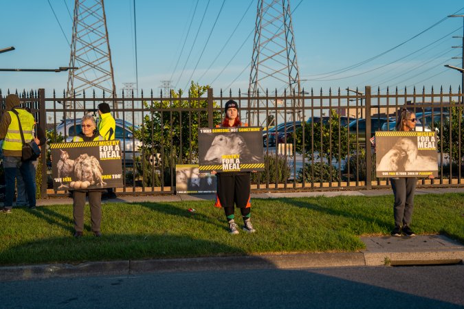 Melbourne Chicken Save Vigil - April 2025