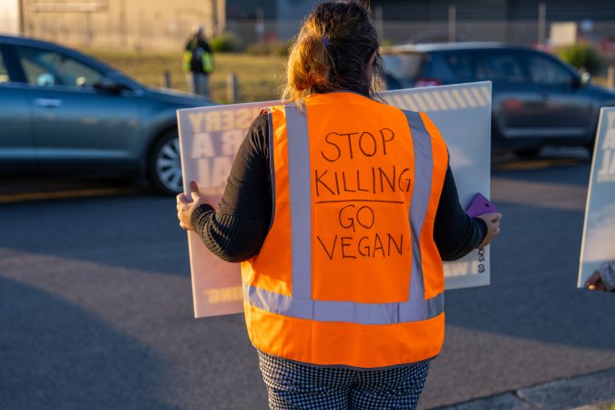 Melbourne Chicken Save Vigil - April 2025