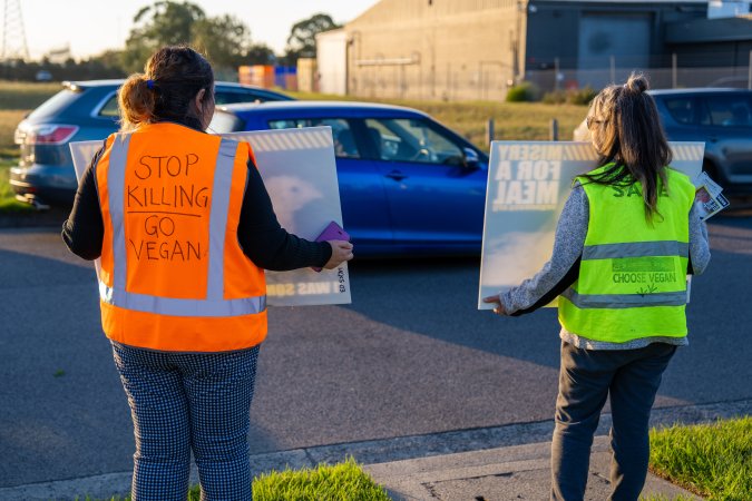 Melbourne Chicken Save Vigil - April 2025