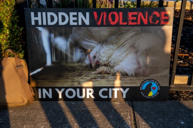 Melbourne Chicken Save Vigil - April 2025