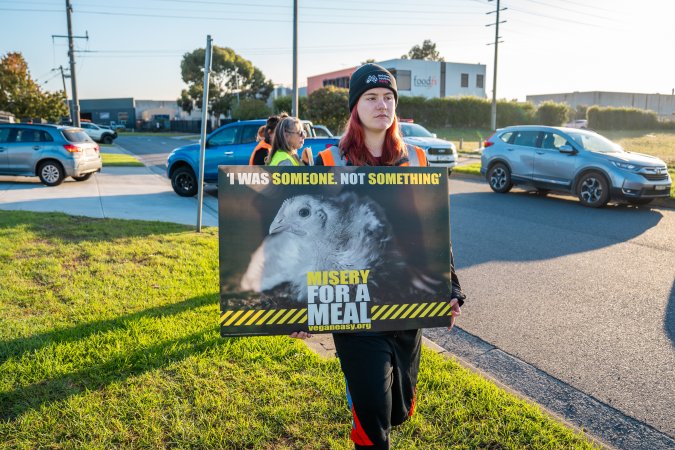 Melbourne Chicken Save Vigil - April 2025