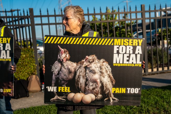 Melbourne Chicken Save Vigil - April 2025