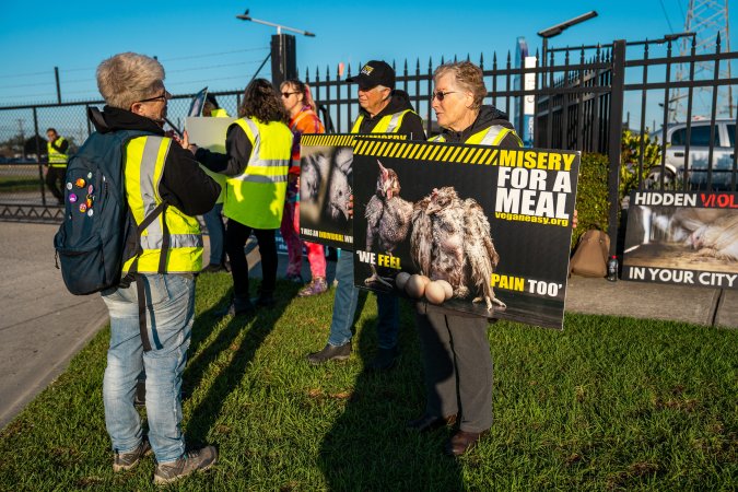 Melbourne Chicken Save Vigil - April 2025
