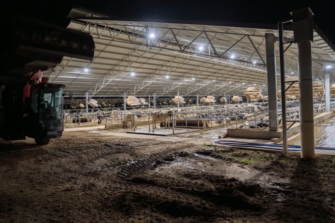 A dairy factory farm shed