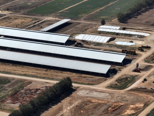 Drone flyover of Calmo Dairy